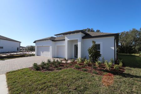 New construction Single-Family house 9603 Crescent Ray Dr, Wesley Chapel, FL 33545 Barcello Bonus- photo 89 89