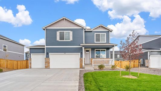 New construction Single-Family house 4447 Cattle Cross Trl, Castle Rock, CO 80104 Bridgeport- photo 0