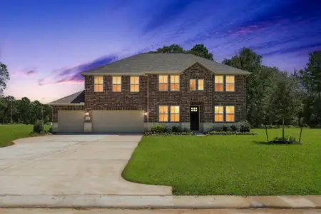 New construction Single-Family house 114 Roebuck Ln, New Waverly, TX 77358 plan Stirling - image