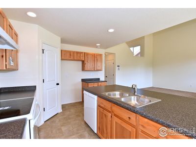 New construction Single-Family house 2429 Dandelion Ln, Johnstown, CO 80534 - image 11
