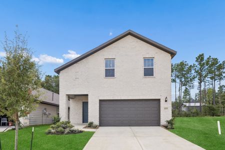 New construction Single-Family house 25171 Pomegranate Pl, Montgomery, TX 77316 plan Epic - image