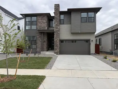 New construction Single-Family house 1657 Winter Glow Dr, Windsor, CO 80550 plan 4 - image