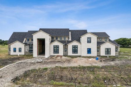 New construction Single-Family house 421 Calabrese Ct, Fairview, TX 75069 null- photo 19 19
