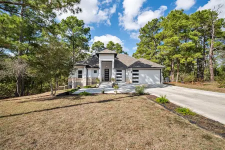 New construction Single-Family house 176 Briar Forest Dr, Bastrop, TX 78602 - image