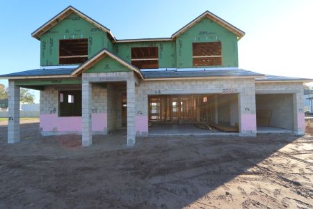 New construction Single-Family house 20264 Oriana Loop, Land O' Lakes, FL 34638 Santa Monica- photo 11 11