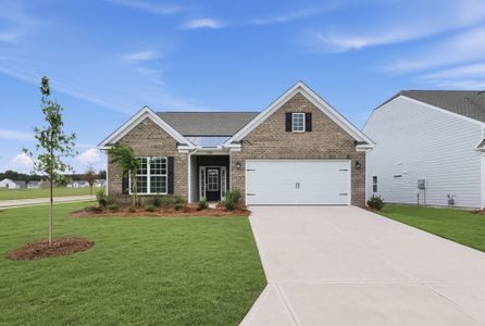New construction Single-Family house 6420 Turkey Roost Wy, Lancaster, SC 29720 plan Canton II - image