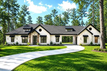 New construction Single-Family house 242 Dipping Vat Rd, Huntsville, TX 77358 - image
