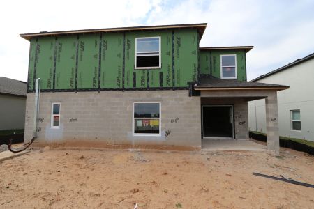 New construction Single-Family house 12294 Hilltop Farms Dr, Dade City, FL 33525 Malibu- photo 63 63