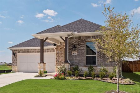 New construction Single-Family house 4128 Blackbird Ave, Little Elm, TX 75068 plan Aurora - image