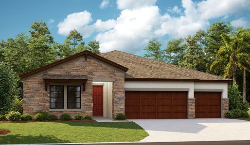 Caldera by Homes by WestBay in Spring Hill - photo 20 20