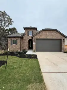 New construction Single-Family house 252 Basket Flower Lp, Kyle, TX 78640 plan Alpina - image