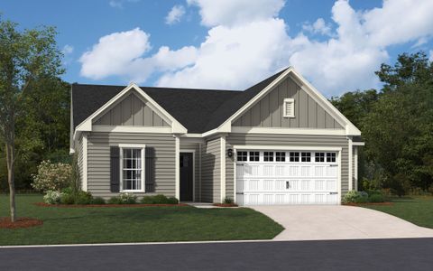 New construction Single-Family house 134 Falls Village Dr, Durham, NC 27703 null- photo 0