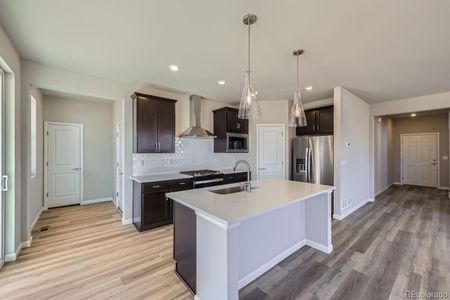 New construction Single-Family house 735 Sunflower Dr, Brighton, CO 80601 Denali- photo 6 6