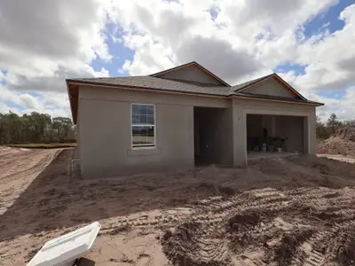 New construction Single-Family house 2954 Berry Coppice Pl, Wimauma, FL 33598 plan Maui - image
