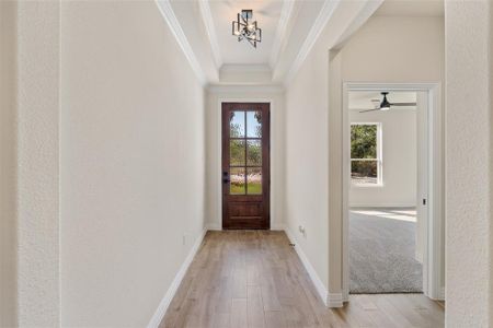 Entrance foyer with a wealth of natural light, ornamental molding, ceiling fan with notable chandelier, and light hardwood / wood-style floors