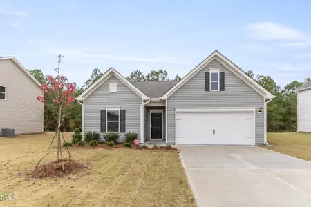 New construction Single-Family house 1640 Elk Run Dr, Fayetteville, NC 28312 - image