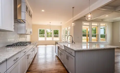 New construction Single-Family house 1264 Sage Pine Cir, Clover, SC 29710 plan Princeton - image 20