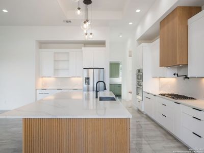 New construction Single-Family house 10907 Nina Rdg, San Antonio, TX 78255 - image 16