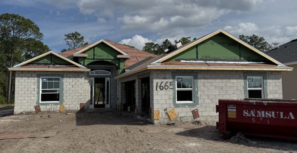 New construction Single-Family house 1665 Lake Reserve Dr, Deland, FL 32724 Plan Unknown- photo 5 5