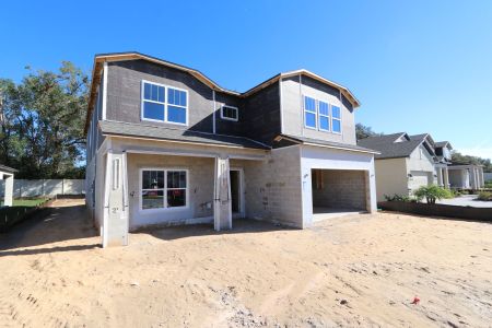 New construction Single-Family house 12008 Hilltop Farms Dr, Dade City, FL 33525 Alenza- photo 72 72