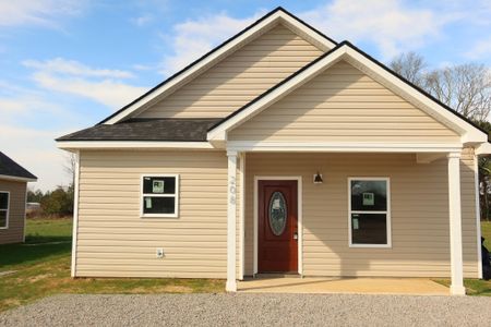 New construction Single-Family house 208 Avocada Dr, Santee, SC 29142 - image