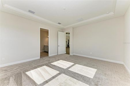 New construction Single-Family house 35564 Big Hawk Dr, Zephyrhills, FL 33541 plan Bayport II - image 20