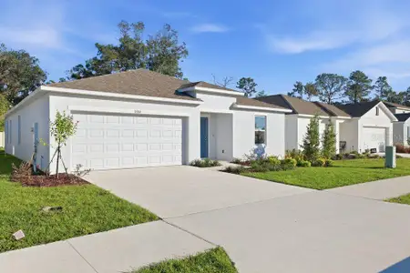 New construction Single-Family house 13502 Tropical Breeze Wy, Hudson, FL 34669 plan Seneca - image