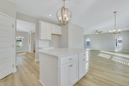 New construction Single-Family house Richmond Hill, GA 31324 plan Greybeard - image 19