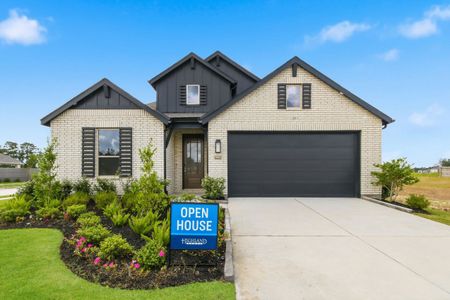 New construction Single-Family house 16642 Jolie St, Conroe, TX 77302 plan VanGogh - image