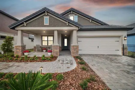 New construction Single-Family house 2295 Wise River Ln, Zephyrhills, FL 33541 plan 50' Sweetwater - image