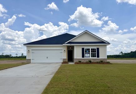 New construction Single-Family house Ludowici, GA 31316 plan The Powell - image