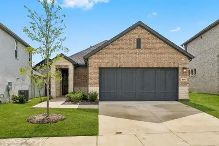 New construction Single-Family house 407 Holly Rd, Oak Point, TX 75068 plan Sonata - image