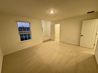 New construction Single-Family house 3648 Americana Dr, Middleburg, FL 32043 Wellington- photo 44 44
