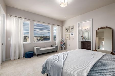 New construction Single-Family house 6657 S Kline Wy, Littleton, CO 80127 - image 9