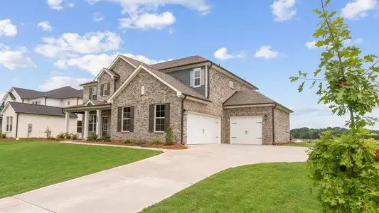 New construction Single-Family house 304 Sundown Trl, McDonough, GA 30252 plan Sapling - image