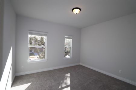 New construction Single-Family house 108 Red Camella Dr, Georgetown, TX 78628 Trinity II - C- photo 17 17