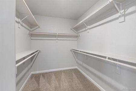 New construction Single-Family house 16953 Ballinger Cir, Mead, CO 80542 plan Keystone II - image 15