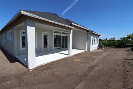 New construction Single-Family house 6179 Hidden Branch Dr, Apollo Beach, FL 33572 The Rivergate- photo 2 2