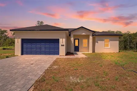 New construction Single-Family house 17146 Sw 41St Cir, Ocala, FL 34473 - image