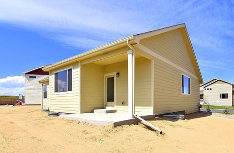 New construction Single-Family house 437 Vivid Ln, Windsor, CO 80550 null- photo 43 43