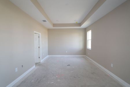 New construction Single-Family house 38357 Palomino Dr, Dade City, FL 33525 Picasso Bonus- photo 14 14