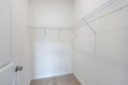 New construction Single-Family house 3788 Watercliff Cir, Grand Island, FL 32735 - image 12