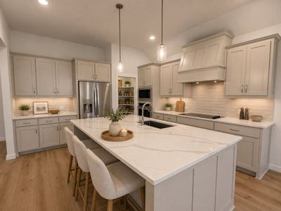 New construction Single-Family house 416 Mcalpine Dr, Springtown, TX 76082 plan Iverson IV - image 5