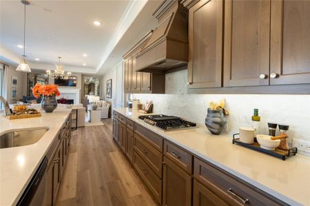 New construction Single-Family house 4371 Carrera Dr, Prosper, TX 75078 - image 16