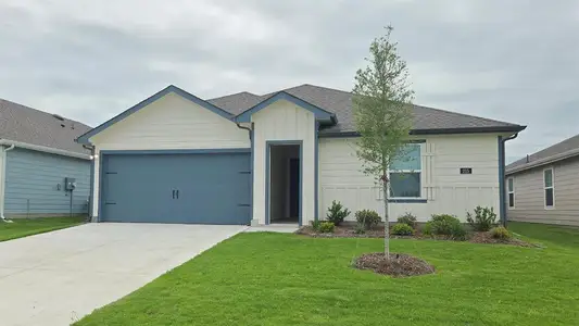 New construction Single-Family house 215 Desert Willow Wy, Royse City, TX 75189 plan X40B Bellvue - image