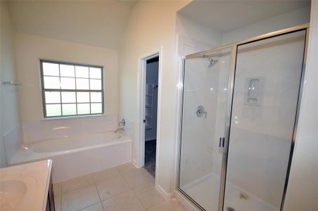 New construction Single-Family house 2101 Palmilla Rd, League City, TX 77539 null- photo 22 22