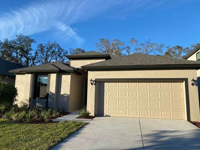 New construction Single-Family house 8259 Tea Olive Terrace, Palmetto, FL 34221 - photo 0