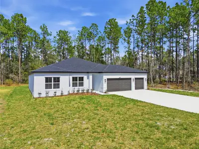New construction Single-Family house 6805 Sw 132Nd St, Ocala, FL 34473 - image