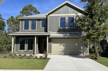 New construction Single-Family house 162 Channel Shoal Dr, Santa Rosa Beach, FL 32459 plan Chopin - image