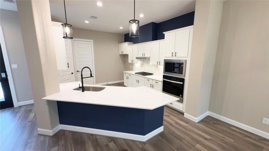 New construction Single-Family house 4309 B Dickson St, Houston, TX 77007 - image 5